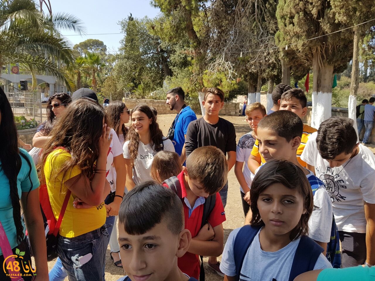 kanizsa yaffa (14).jpg